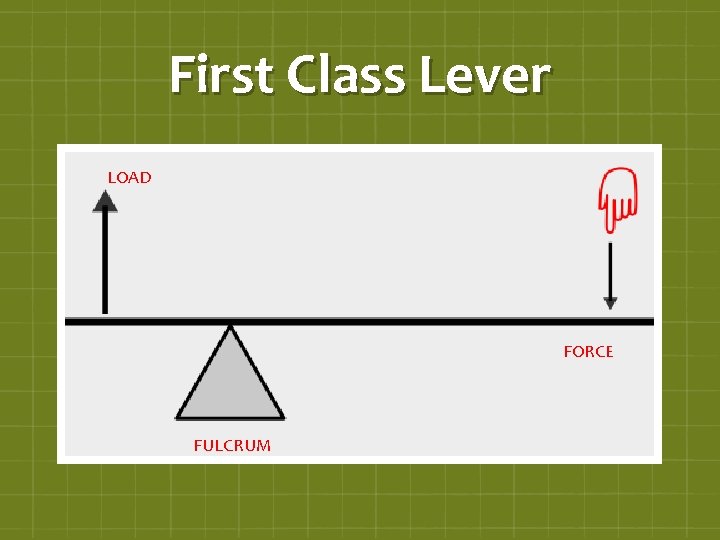 First Class Lever LOAD FORCE FULCRUM 