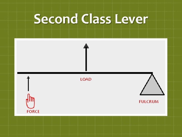 Second Class Lever LOAD FULCRUM FORCE 