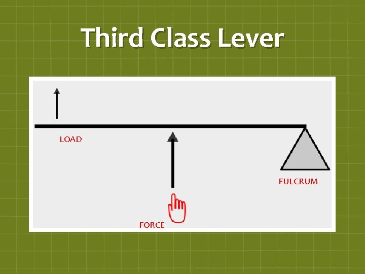 Third Class Lever LOAD FULCRUM FORCE 