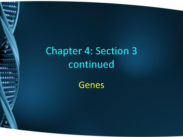 Chapter 4 Section 3 continued Genes Importance of