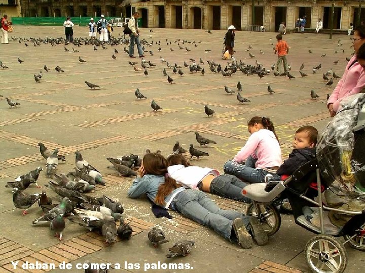 Y daban de comer a las palomas. 