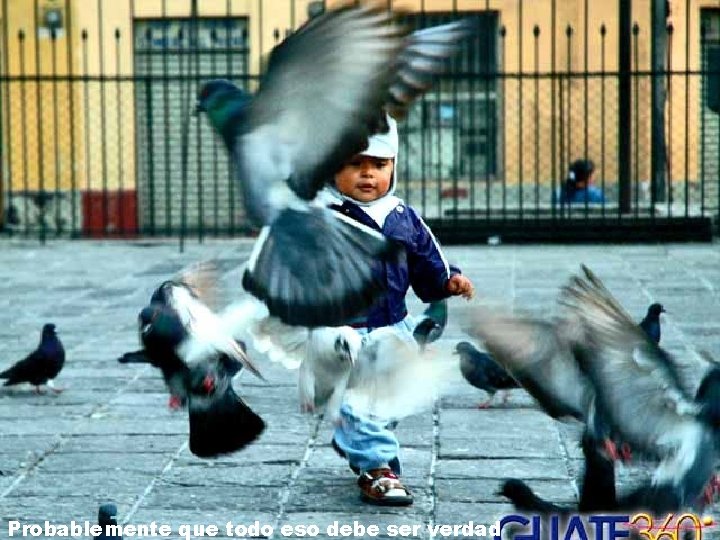 Probablemente que todo eso debe ser verdad 