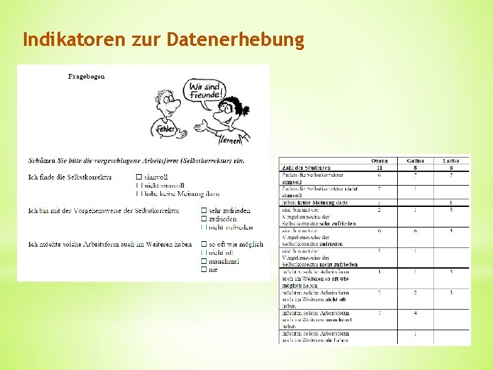 Indikatoren zur Datenerhebung 