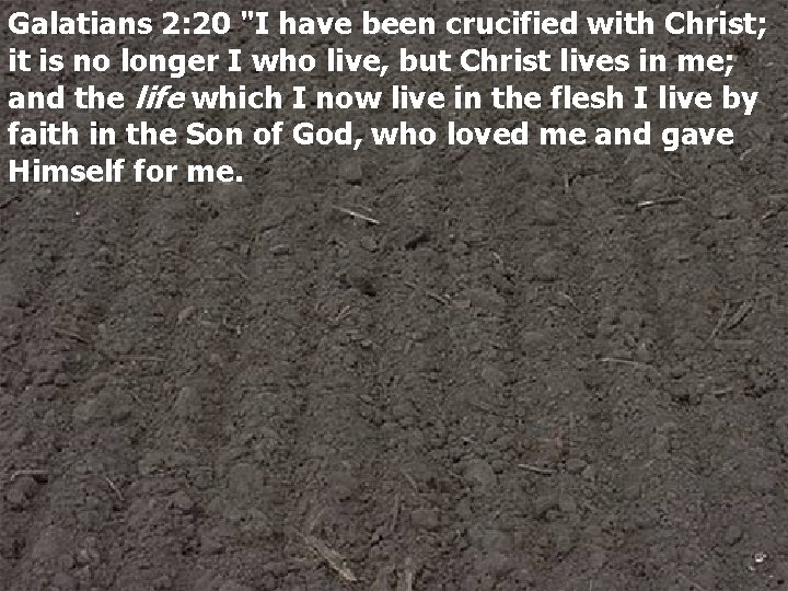 Galatians 2: 20 "I have been crucified with Christ; it is no longer I