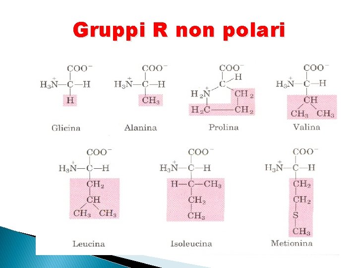 Gruppi R non polari Gruppi R non polari