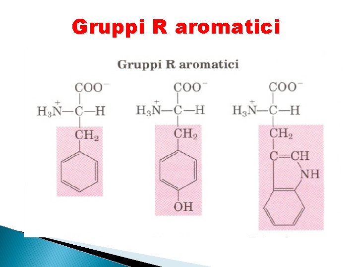 Gruppi R aromatici Gruppi R aromatici