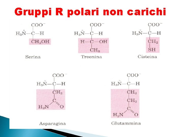 Gruppi R polari non carichi 