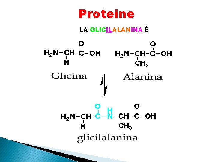 Proteine LA GLICILALANINA È 