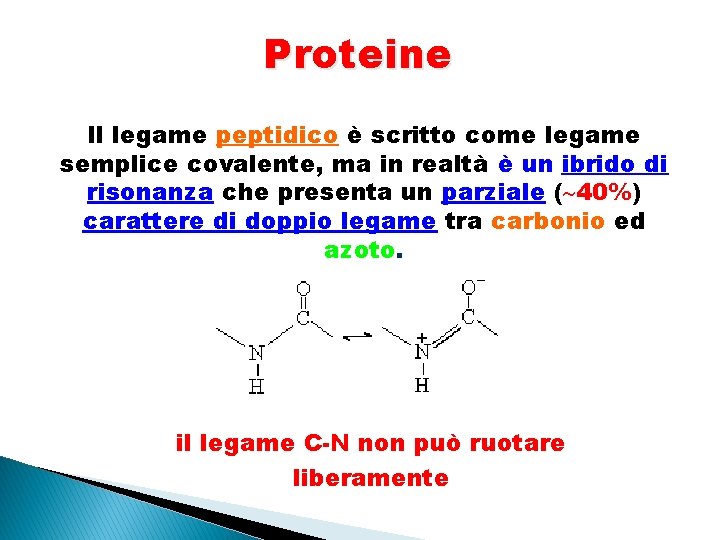 Proteine Il legame peptidico è scritto come legame semplice covalente, ma in realtà è