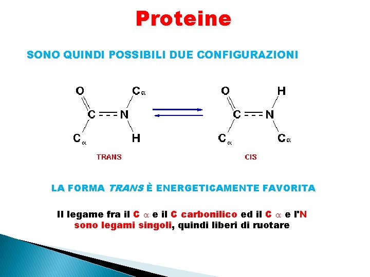 Proteine SONO QUINDI POSSIBILI DUE CONFIGURAZIONI LA FORMA TRANS È ENERGETICAMENTE FAVORITA Il legame