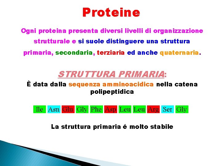 Proteine Ogni proteina presenta diversi livelli di organizzazione strutturale e si suole distinguere una