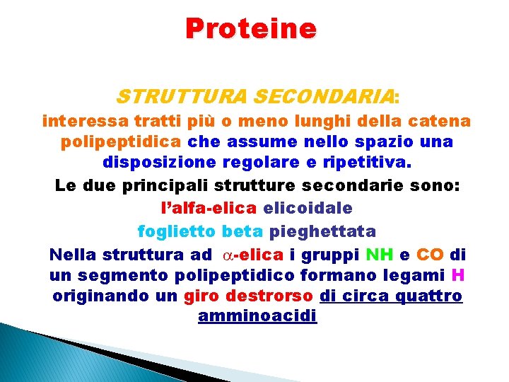 Proteine STRUTTURA SECONDARIA: interessa tratti più o meno lunghi della catena polipeptidica che assume