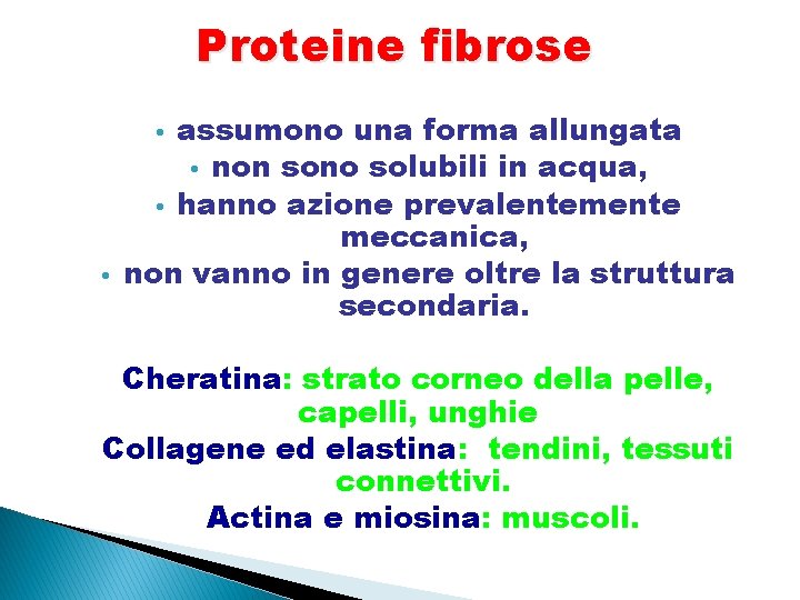 Proteine fibrose assumono una forma allungata • non sono solubili in acqua, • hanno