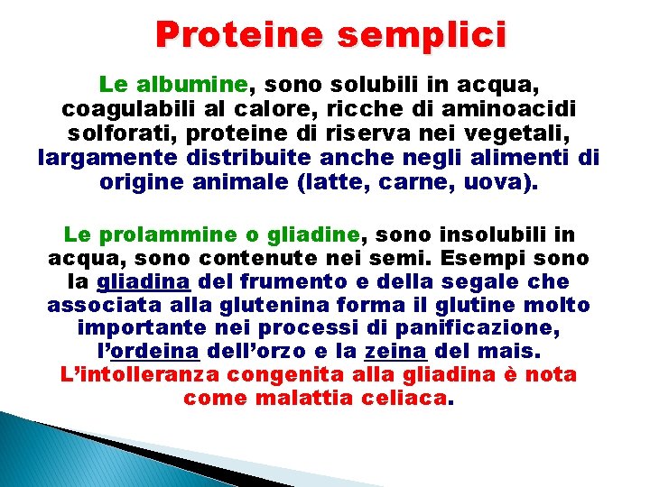 Proteine semplici Le albumine, sono solubili in acqua, coagulabili al calore, ricche di aminoacidi