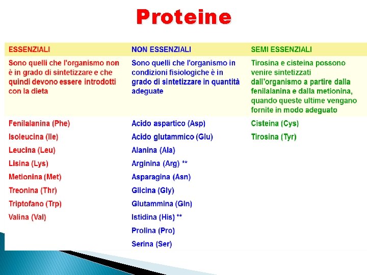 Proteine 