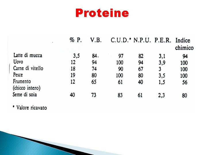 Proteine 