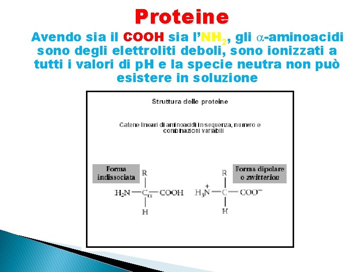 Proteine Avendo sia il COOH sia l’NH 2, gli -aminoacidi sono degli elettroliti deboli,