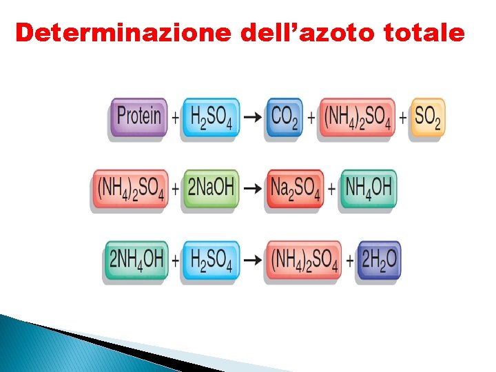 Determinazione dell’azoto totale 