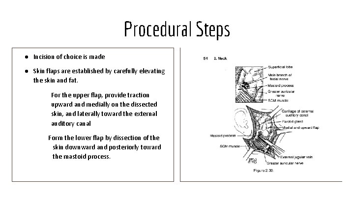 Procedural Steps ● Incision of choice is made ● Skin flaps are established by