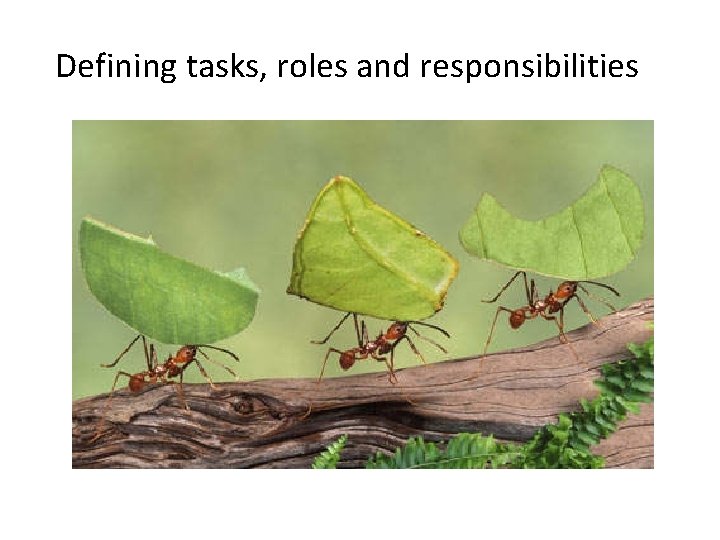 Defining tasks, roles and responsibilities 