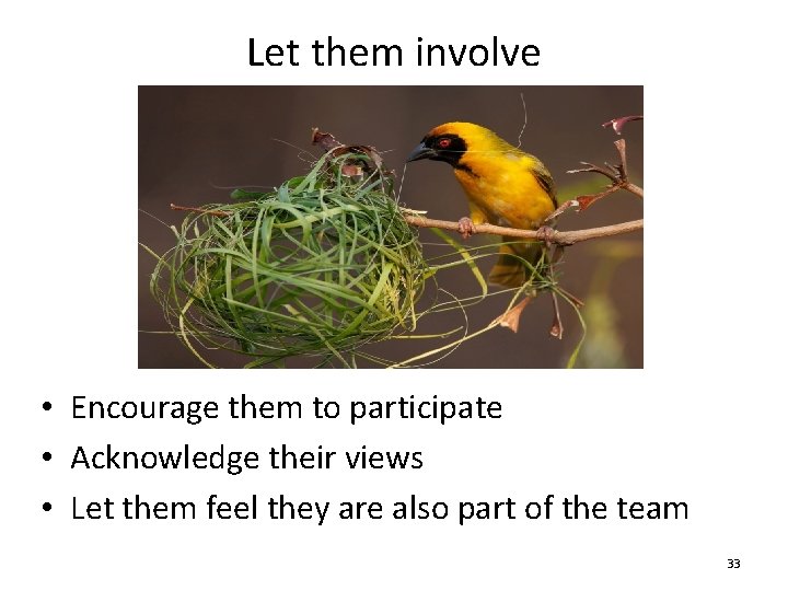 Let them involve • Encourage them to participate • Acknowledge their views • Let