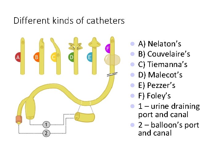 Different kinds of catheters A) Nelaton’s B) Couvelaire’s C) Tiemanna’s D) Malecot’s E) Pezzer’s