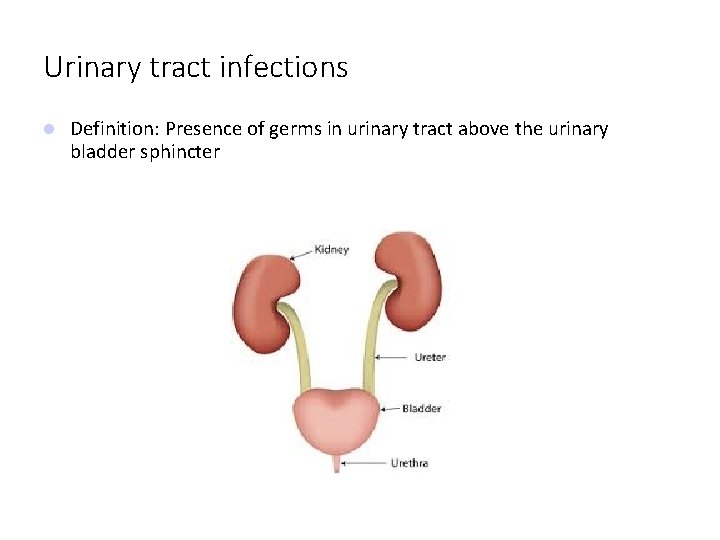 Urinary tract infections Definition: Presence of germs in urinary tract above the urinary bladder