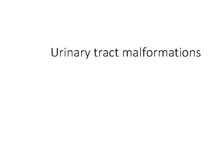 Urinary tract malformations 