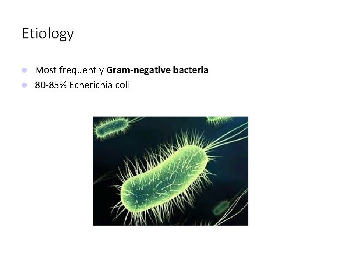 Etiology Most frequently Gram-negative bacteria 80 -85% Echerichia coli 