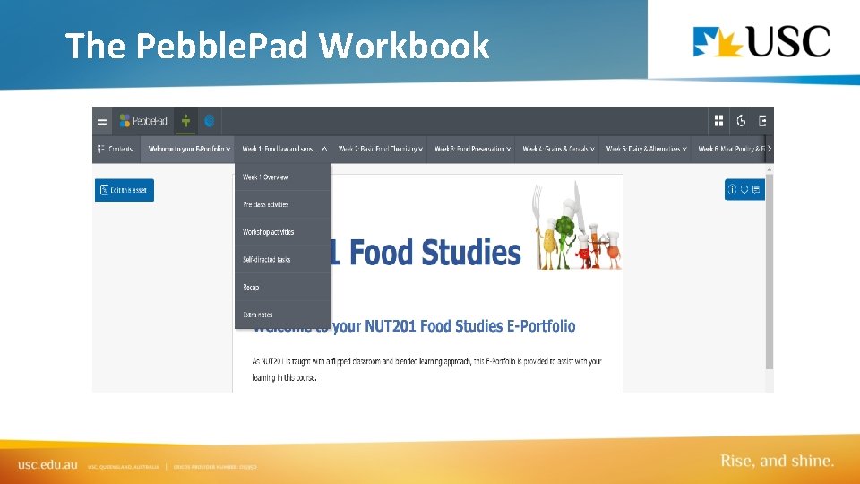 The Pebble. Pad Workbook 