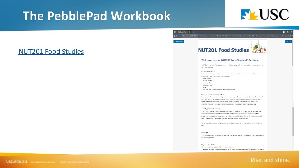 The Pebble. Pad Workbook NUT 201 Food Studies 