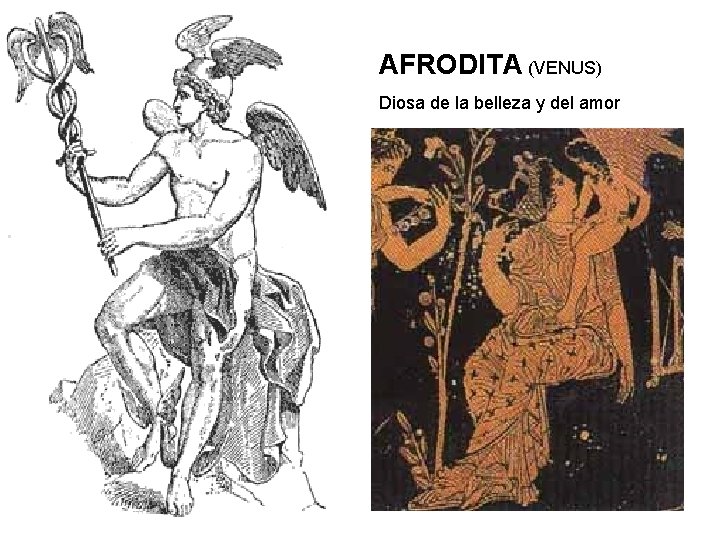 AFRODITA (VENUS) Diosa de la belleza y del amor 