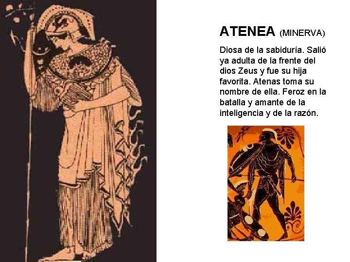 ATENEA (MINERVA) Diosa de la sabiduría. Salió ya adulta de la frente del dios