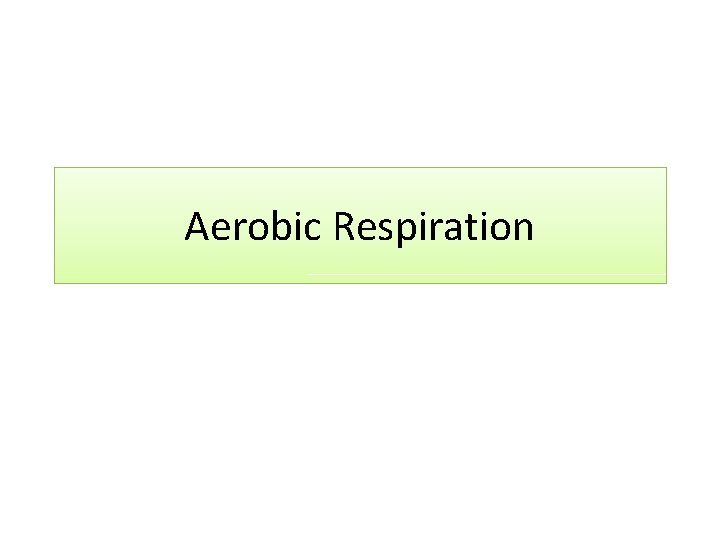 Aerobic Respiration 