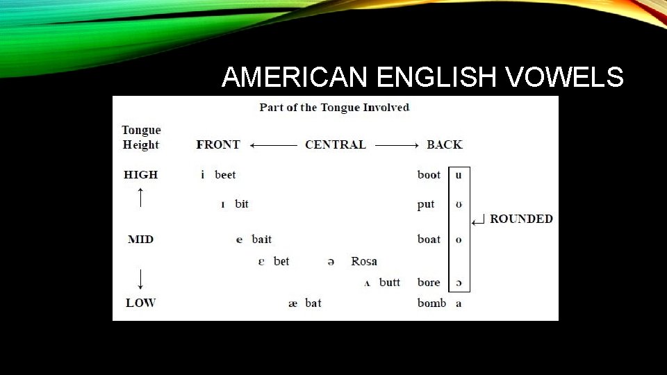 AMERICAN ENGLISH VOWELS 