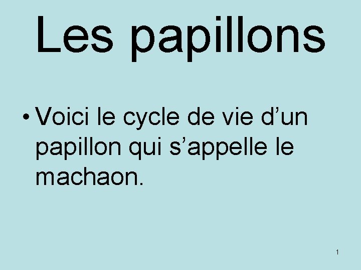 Les papillons • Voici le cycle de vie d’un papillon qui s’appelle le machaon.