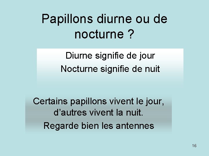 Papillons diurne ou de nocturne ? Diurne signifie de jour Nocturne signifie de nuit