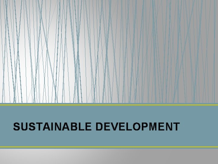 SUSTAINABLE DEVELOPMENT 