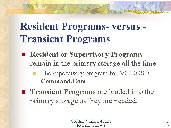 Resident Programs- versus Transient Programs n Resident or Supervisory Programs remain in the primary