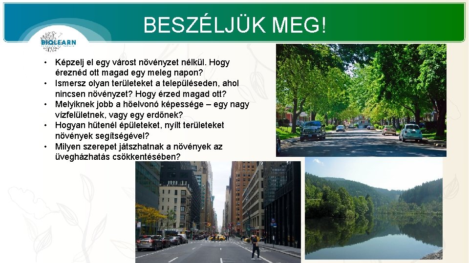 BESZÉLJÜK MEG! • Képzelj el egy várost növényzet nélkül. Hogy éreznéd ott magad egy