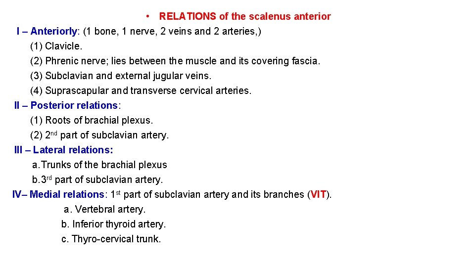  • RELATIONS of the scalenus anterior I – Anteriorly: (1 bone, 1 nerve,