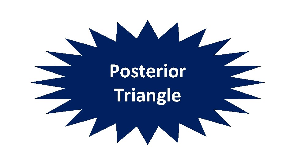 Posterior Triangle 
