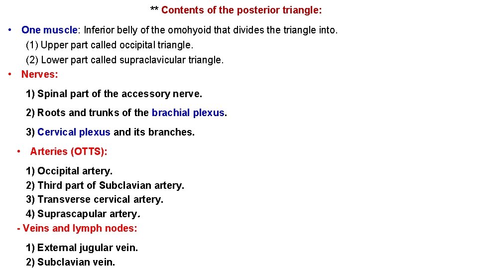 ** Contents of the posterior triangle: • One muscle: Inferior belly of the omohyoid