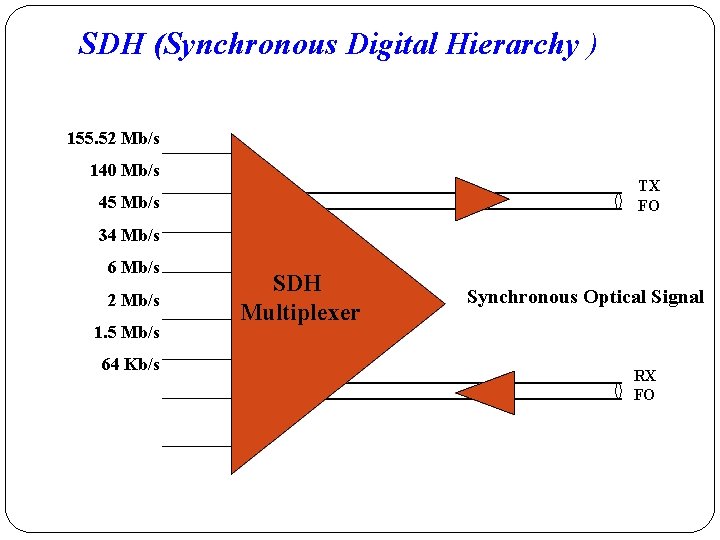 SDH (Synchronous Digital Hierarchy ) 155. 52 Mb/s 140 Mb/s TX FO 45 Mb/s