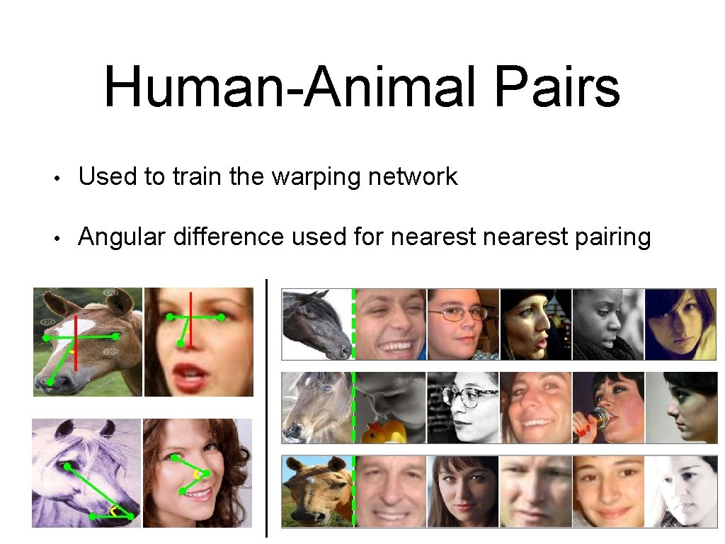 Human-Animal Pairs • Used to train the warping network • Angular difference used for