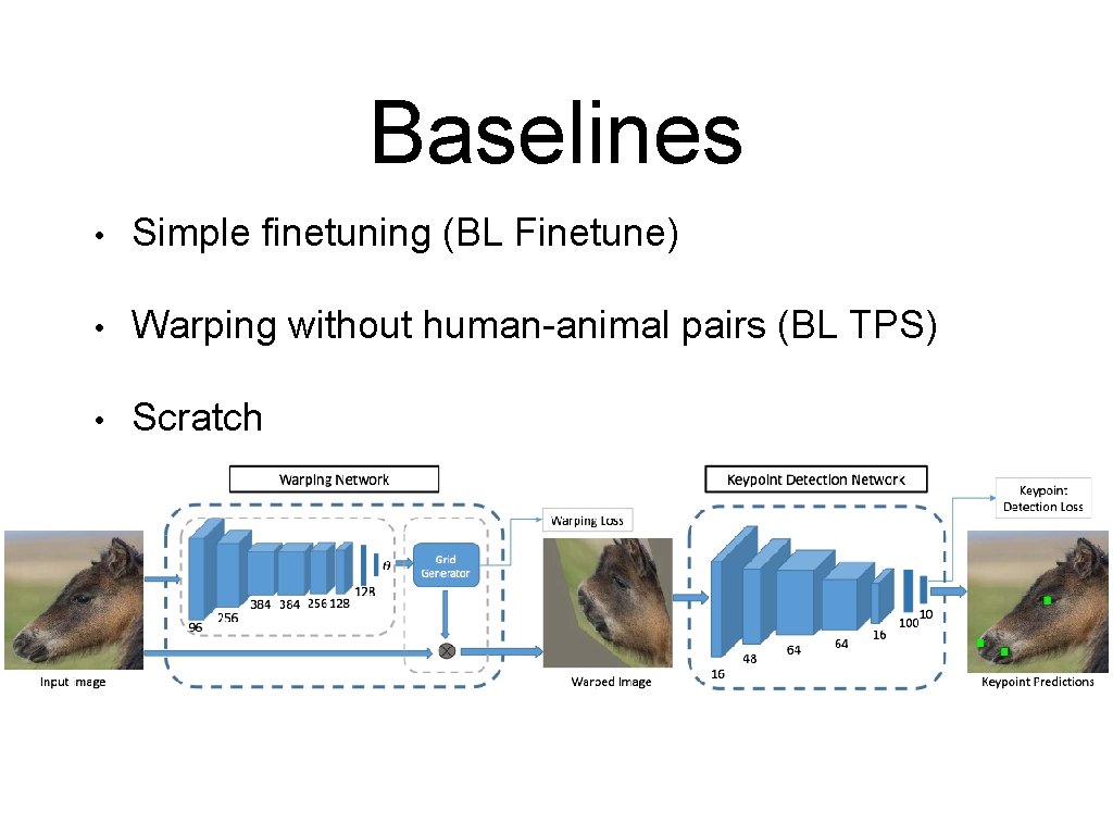 Baselines • Simple finetuning (BL Finetune) • Warping without human-animal pairs (BL TPS) •