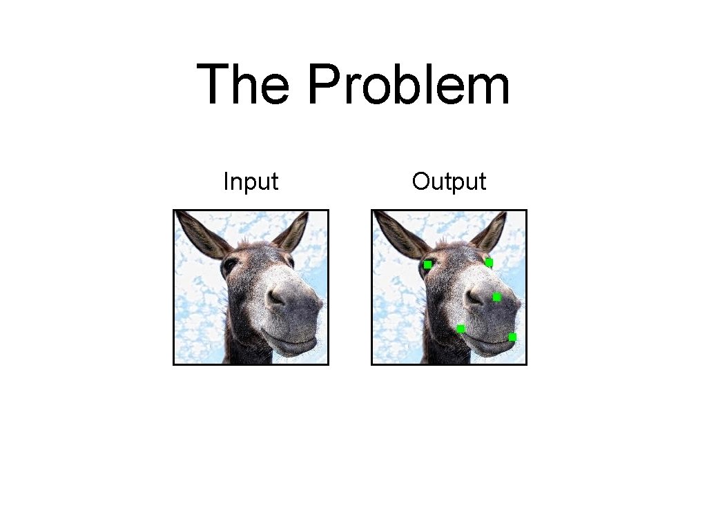 The Problem Input Output 
