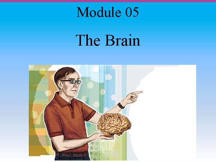 Module 05 The Brain 