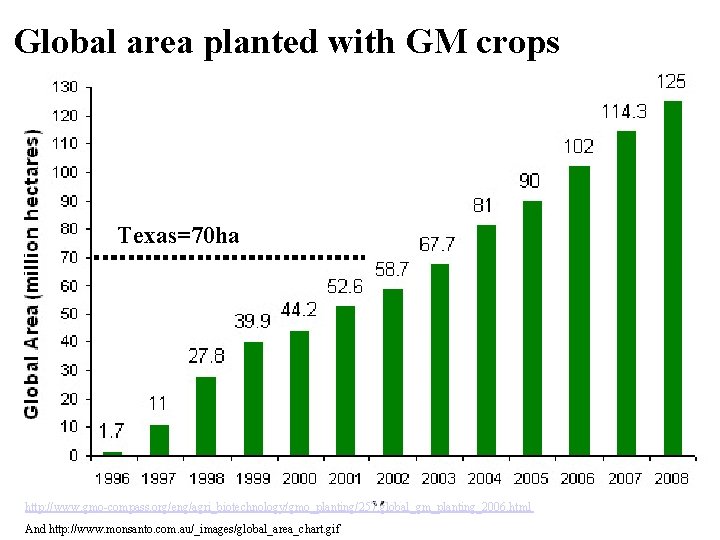 Global area planted with GM crops Texas=70 ha http: //www. gmo-compass. org/eng/agri_biotechnology/gmo_planting/257. global_gm_planting_2006. html