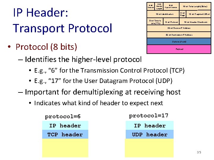 IP Header: Transport Protocol 4 -bit Version 4 -bit Header Length 8 -bit Type